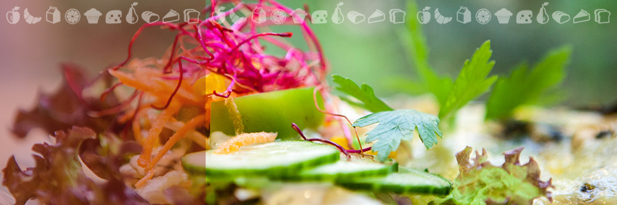 Ernährungsberatung Beate Sacher